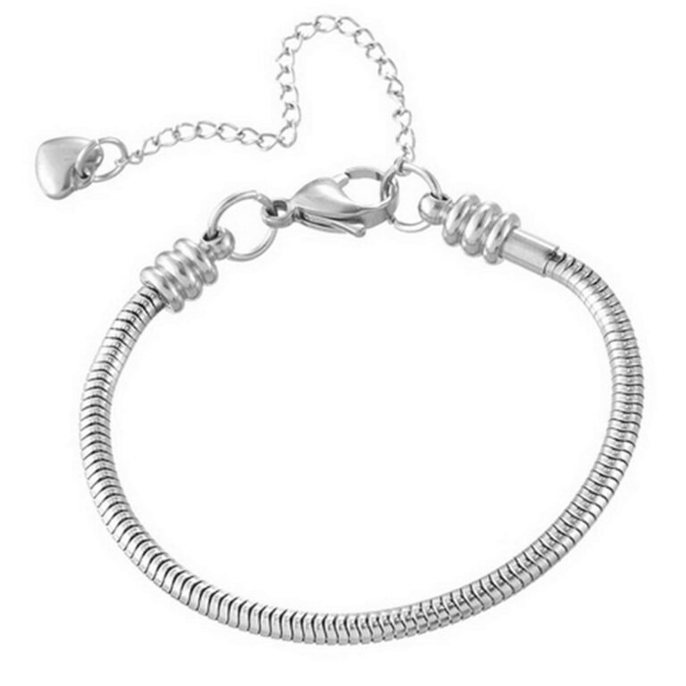 Silver snake chain bracelet with heart charm and clasp
