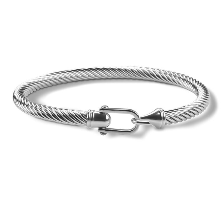 Silver twisted cable bracelet with a clasp on a white background